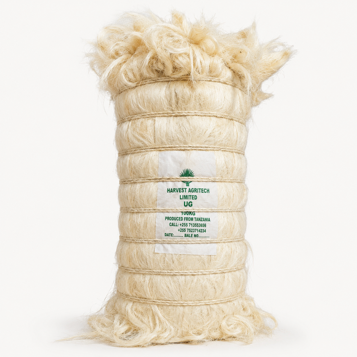 Sisal Fibre