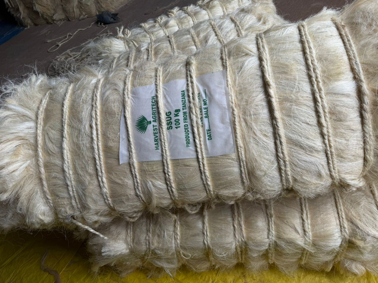 Export Grade Sisal