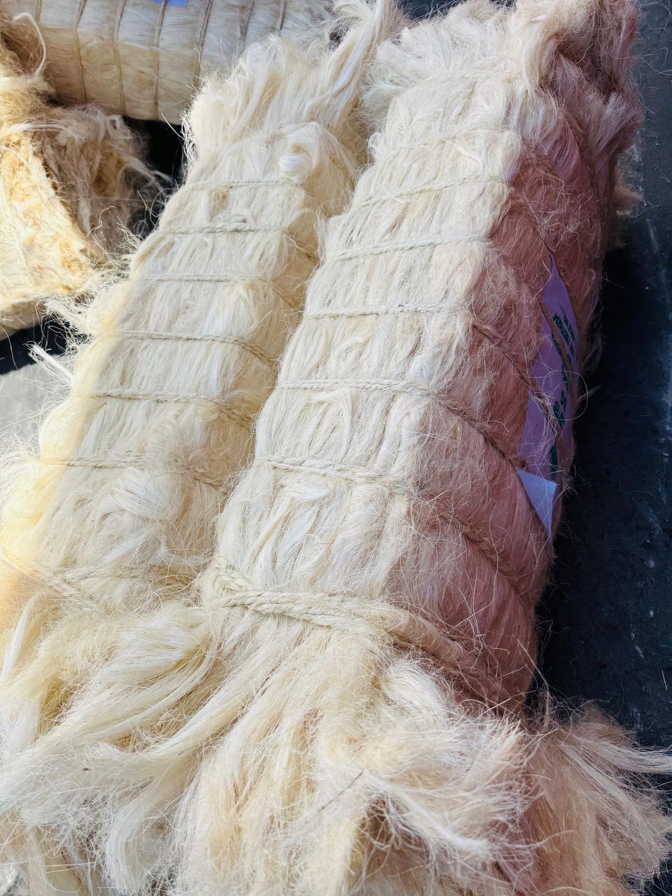 Sisal processing operations at Harvest Agritech Tanzania