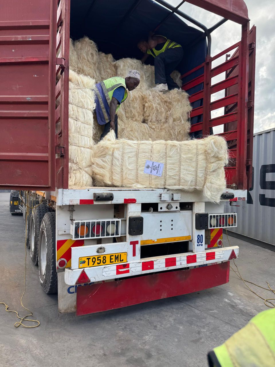 Sisal cultivation operations at Harvest Agritech Tanzania